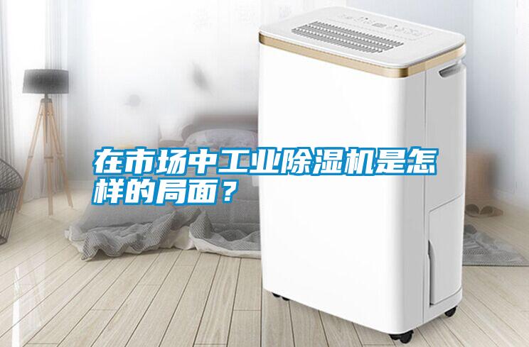 在市場(chǎng)中工業(yè)除濕機(jī)是怎樣的局面？