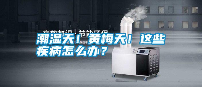 潮濕天！黃梅天！這些疾病怎么辦？