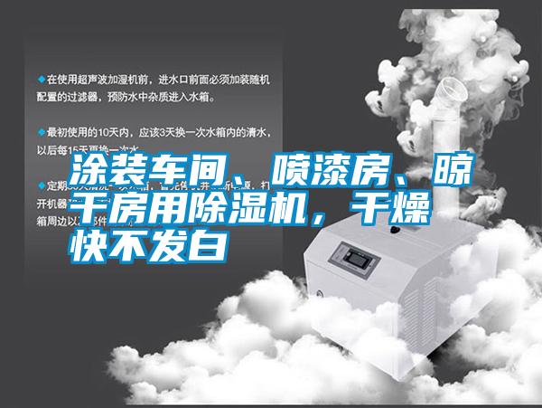 涂裝車間、噴漆房、晾干房用除濕機，干燥快不發(fā)白