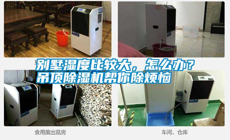 別墅濕度比較大，怎么辦？吊頂除濕機(jī)幫你除煩惱