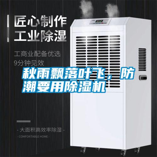 秋雨飄落葉飛，防潮要用除濕機