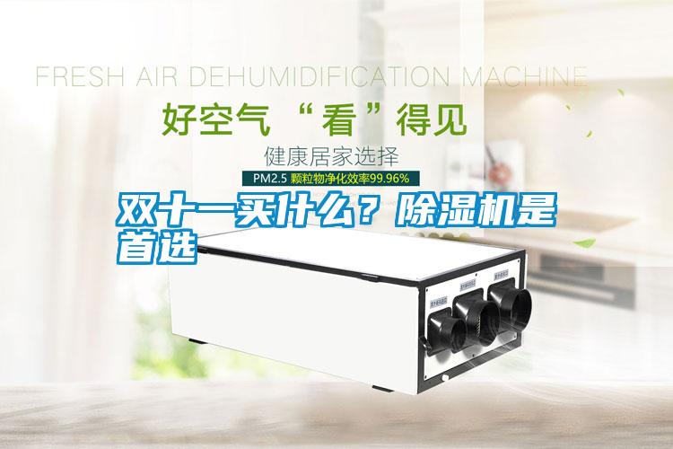 雙十一買什么？除濕機(jī)是首選