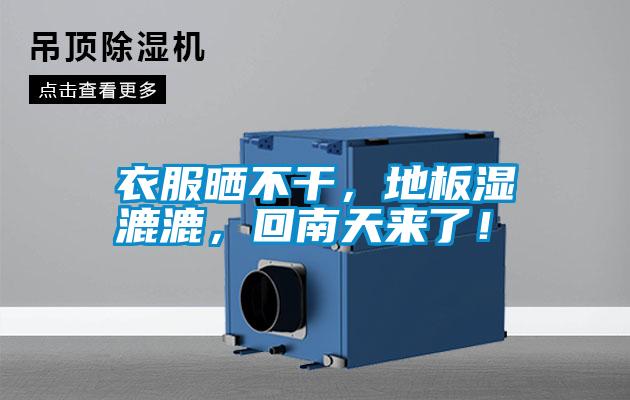 衣服曬不干，地板濕漉漉，回南天來了！