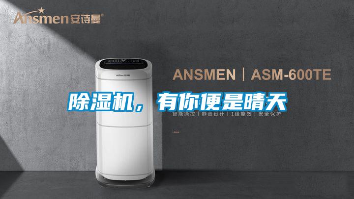 除濕機(jī)，有你便是晴天