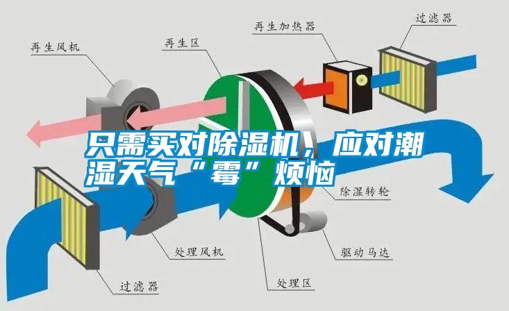 只需買對(duì)除濕機(jī)，應(yīng)對(duì)潮濕天氣“霉”煩惱