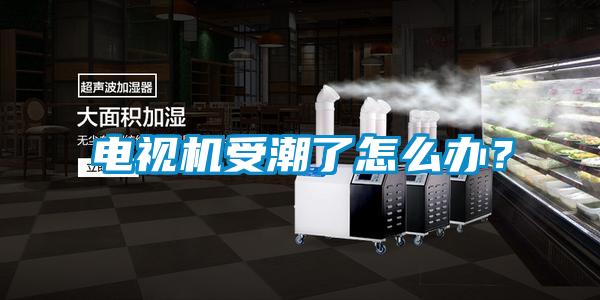 電視機(jī)受潮了怎么辦？
