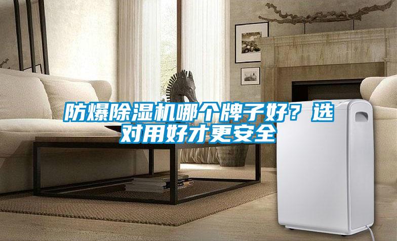 防爆除濕機哪個牌子好？選對用好才更安全