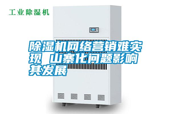 除濕機網絡營銷難實現(xiàn) 山寨化問題影響其發(fā)展