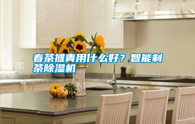 春茶攤青用什么好？智能制茶除濕機(jī)