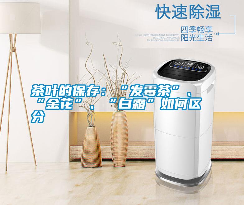 茶葉的保存：“發(fā)霉茶”、“金花”、“白霜”如何區(qū)分
