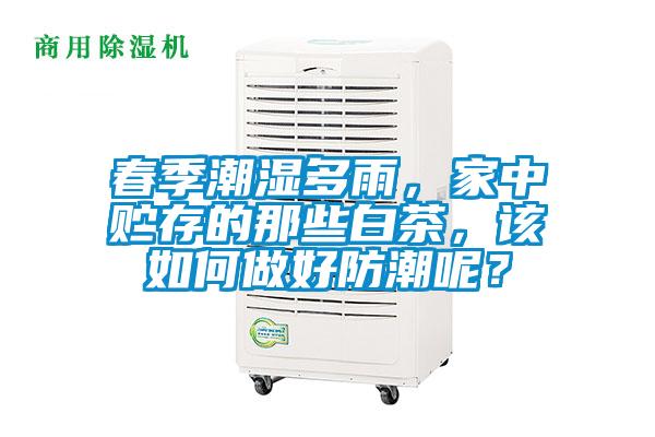 春季潮濕多雨，家中貯存的那些白茶，該如何做好防潮呢？