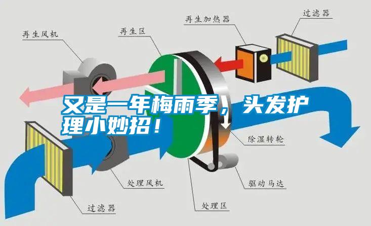 又是一年梅雨季，頭發(fā)護理小妙招！
