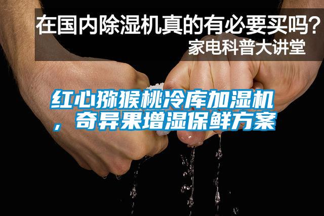 紅心獼猴桃冷庫加濕機(jī)，奇異果增濕保鮮方案