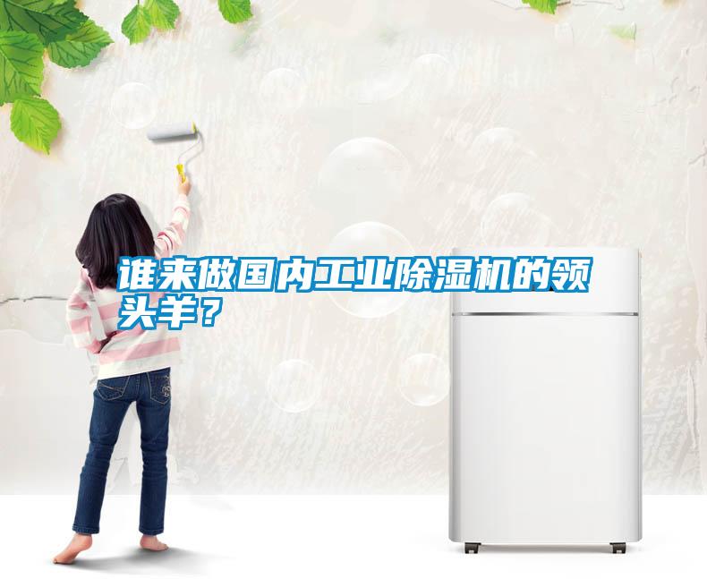 誰來做國內工業(yè)除濕機的領頭羊？