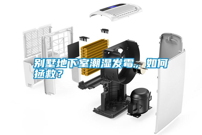 別墅地下室潮濕發(fā)霉，如何拯救？