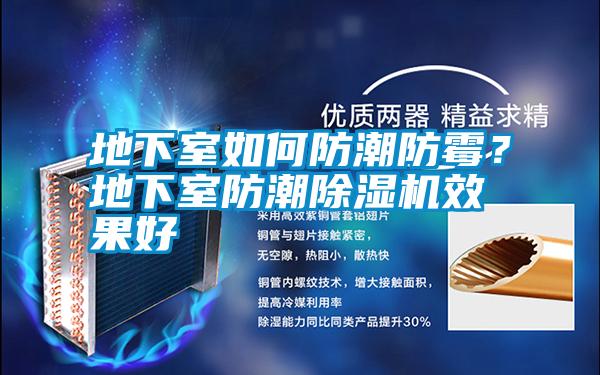 地下室如何防潮防霉？地下室防潮除濕機(jī)效果好