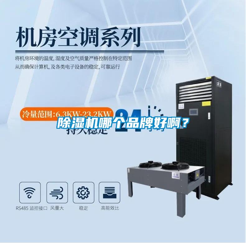 除濕機(jī)哪個品牌好?。?></div>
								<div   id=