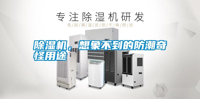 除濕機(jī)，想象不到的防潮奇怪用途
