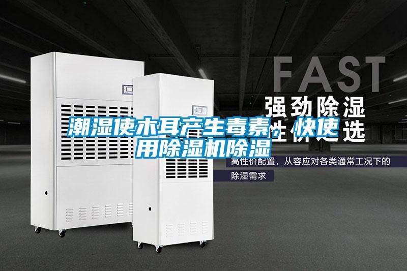 潮濕使木耳產(chǎn)生毒素，快使用除濕機(jī)除濕