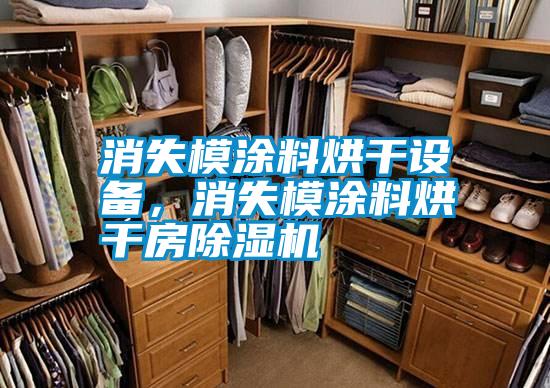 消失模涂料烘干設(shè)備，消失模涂料烘干房除濕機(jī)