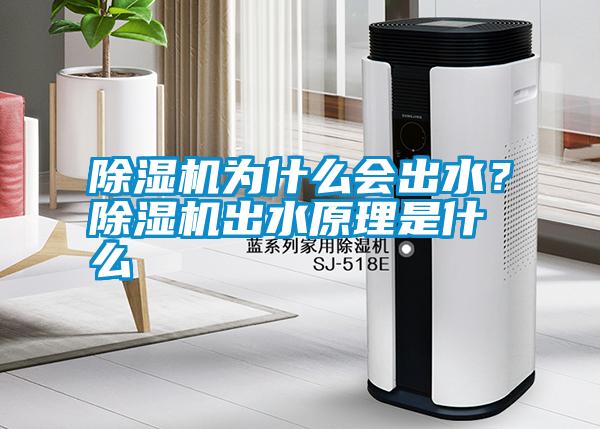 除濕機(jī)為什么會(huì)出水？除濕機(jī)出水原理是什么