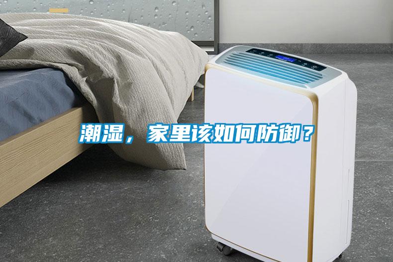 潮濕，家里該如何防御？