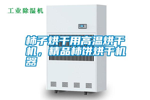 柿子烘干用高溫烘干機，精品柿餅烘干機器