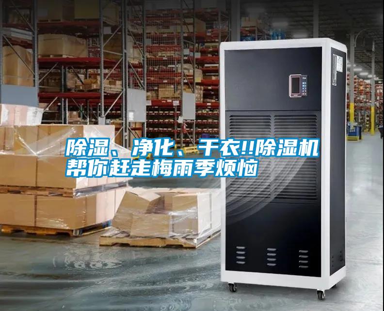 除濕、凈化、干衣!!除濕機(jī)幫你趕走梅雨季煩惱