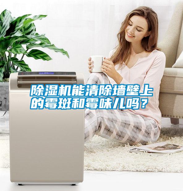 除濕機(jī)能清除墻壁上的霉斑和霉味兒?jiǎn)幔?/></p>
                              <p style=