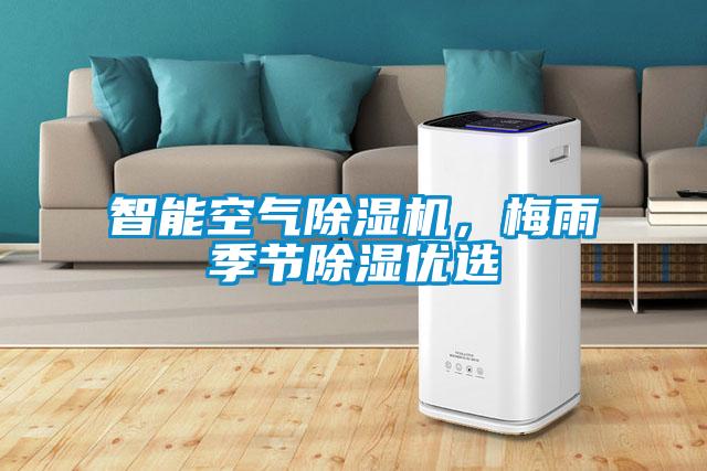 智能空氣除濕機(jī)，梅雨季節(jié)除濕優(yōu)選