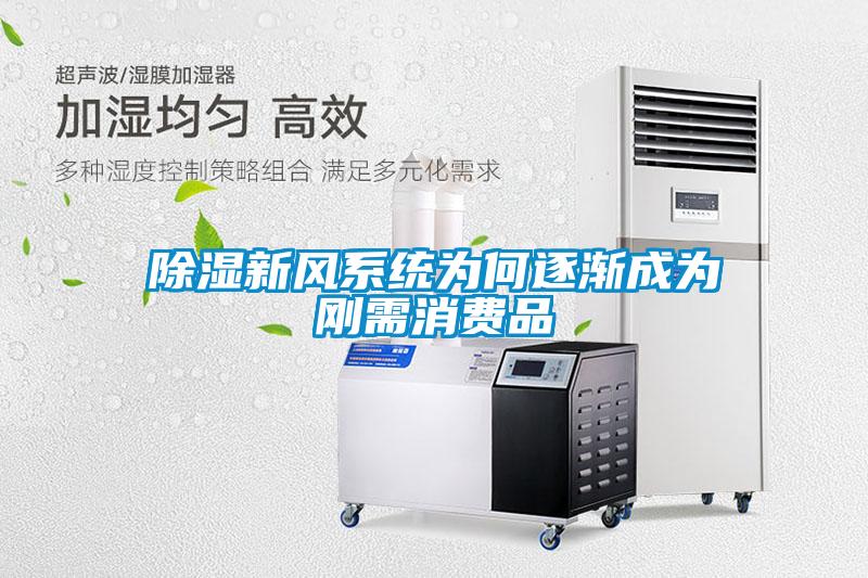 除濕新風(fēng)系統(tǒng)為何逐漸成為剛需消費品