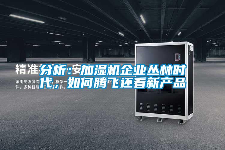 分析：加濕機企業(yè)叢林時代，如何騰飛還看新產品