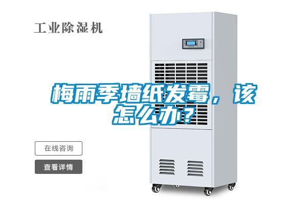 梅雨季墻紙發(fā)霉，該怎么辦？