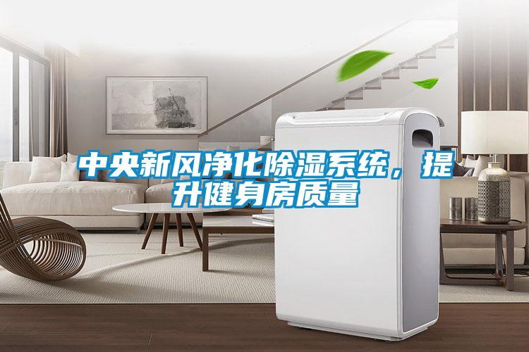 中央新風凈化除濕系統(tǒng)，提升健身房質(zhì)量