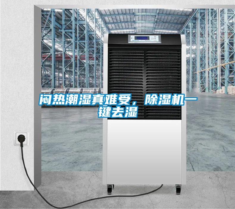 悶熱潮濕真難受，除濕機(jī)一鍵去濕