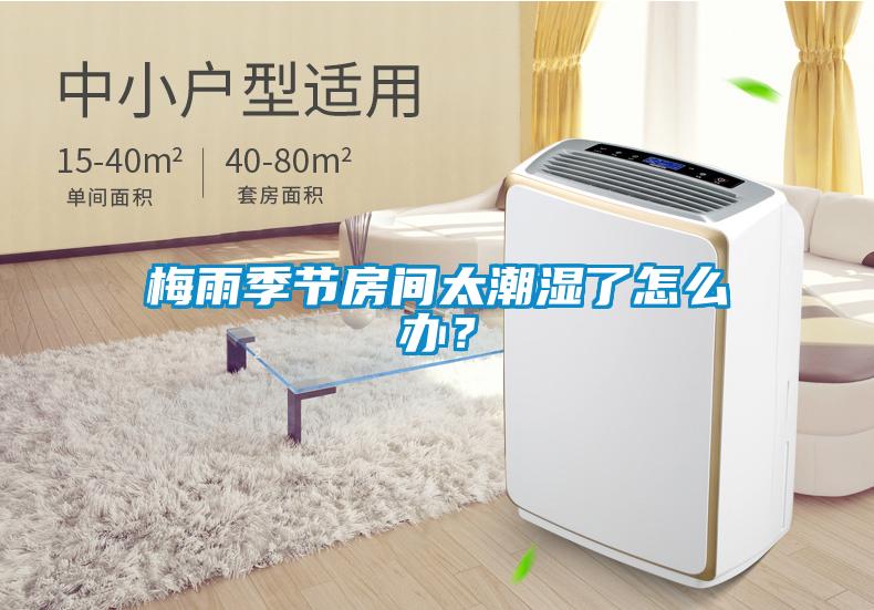 梅雨季節(jié)房間太潮濕了怎么辦？