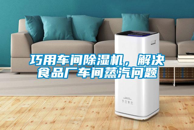 巧用車間除濕機，解決食品廠車間蒸汽問題