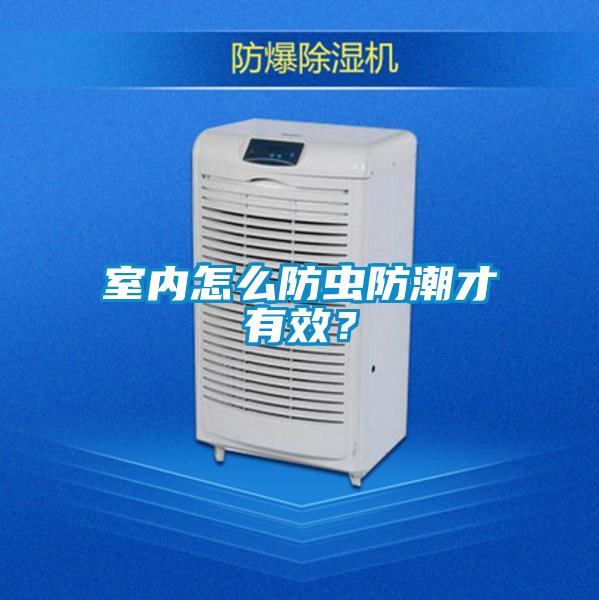 室內(nèi)怎么防蟲防潮才有效？