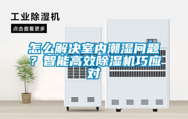 怎么解決室內(nèi)潮濕問題？智能高效除濕機(jī)巧應(yīng)對