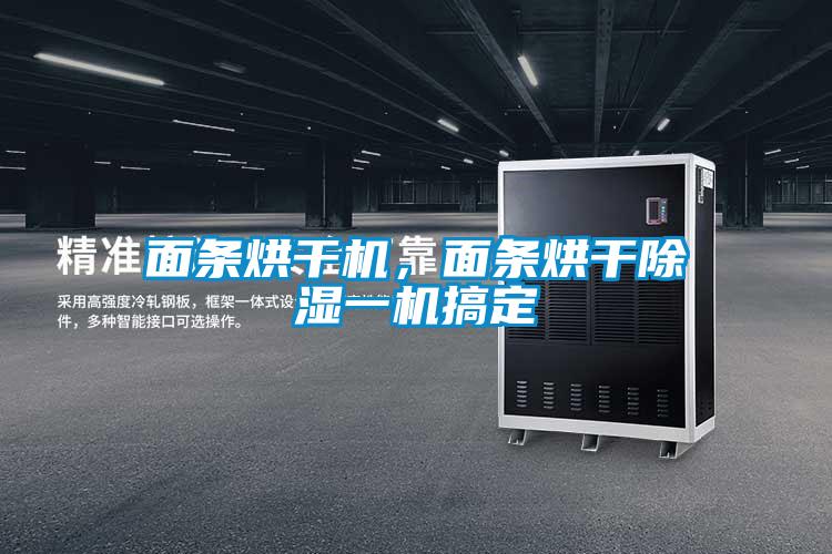 面條烘干機(jī)，面條烘干除濕一機(jī)搞定