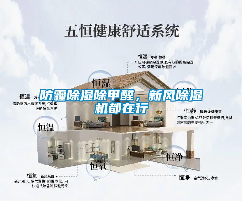 防霾除濕除甲醛，新風(fēng)除濕機(jī)都在行