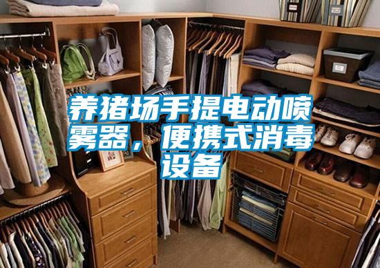 養(yǎng)豬場手提電動噴霧器，便攜式消毒設(shè)備
