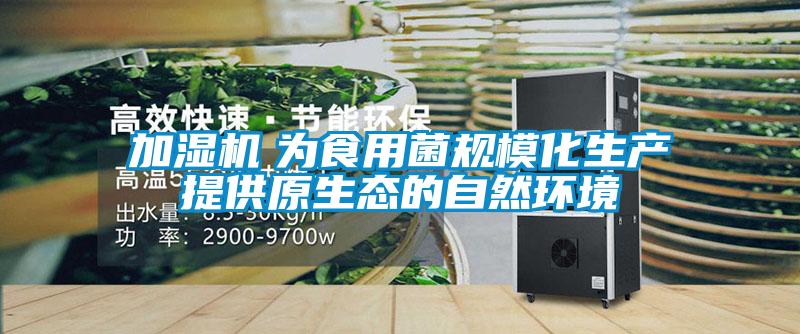 加濕機(jī)　為食用菌規(guī)?；a(chǎn)提供原生態(tài)的自然環(huán)境