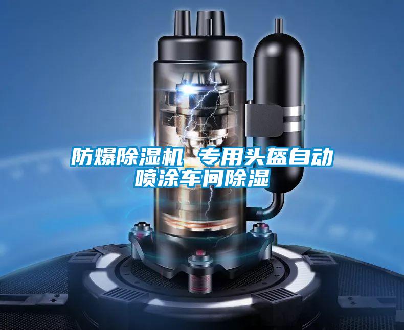 防爆除濕機(jī) 專用頭盔自動(dòng)噴涂車間除濕