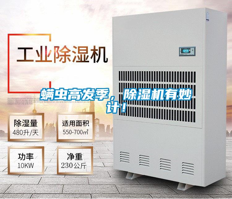 螨蟲高發(fā)季，除濕機有妙計！