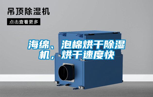 海綿、泡棉烘干除濕機(jī)，烘干速度快