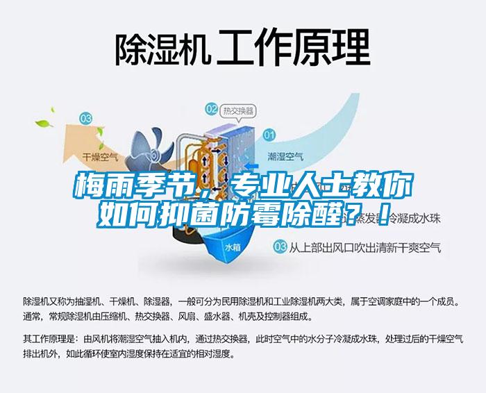 梅雨季節(jié)，專業(yè)人士教你如何抑菌防霉除醛？！