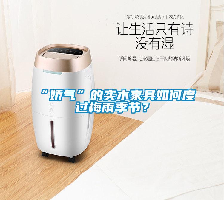 “嬌氣”的實(shí)木家具如何度過(guò)梅雨季節(jié)？
