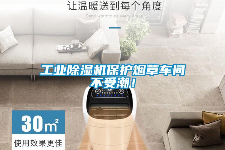 工業(yè)除濕機(jī)保護(hù)煙草車(chē)間不受潮！