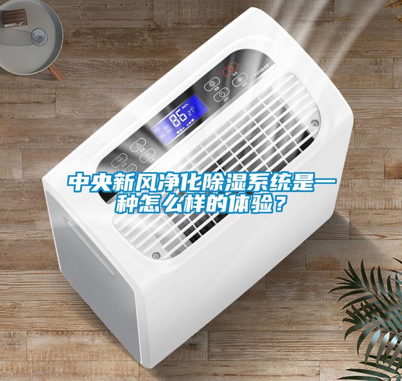 中央新風(fēng)凈化除濕系統(tǒng)是一種怎么樣的體驗(yàn)？